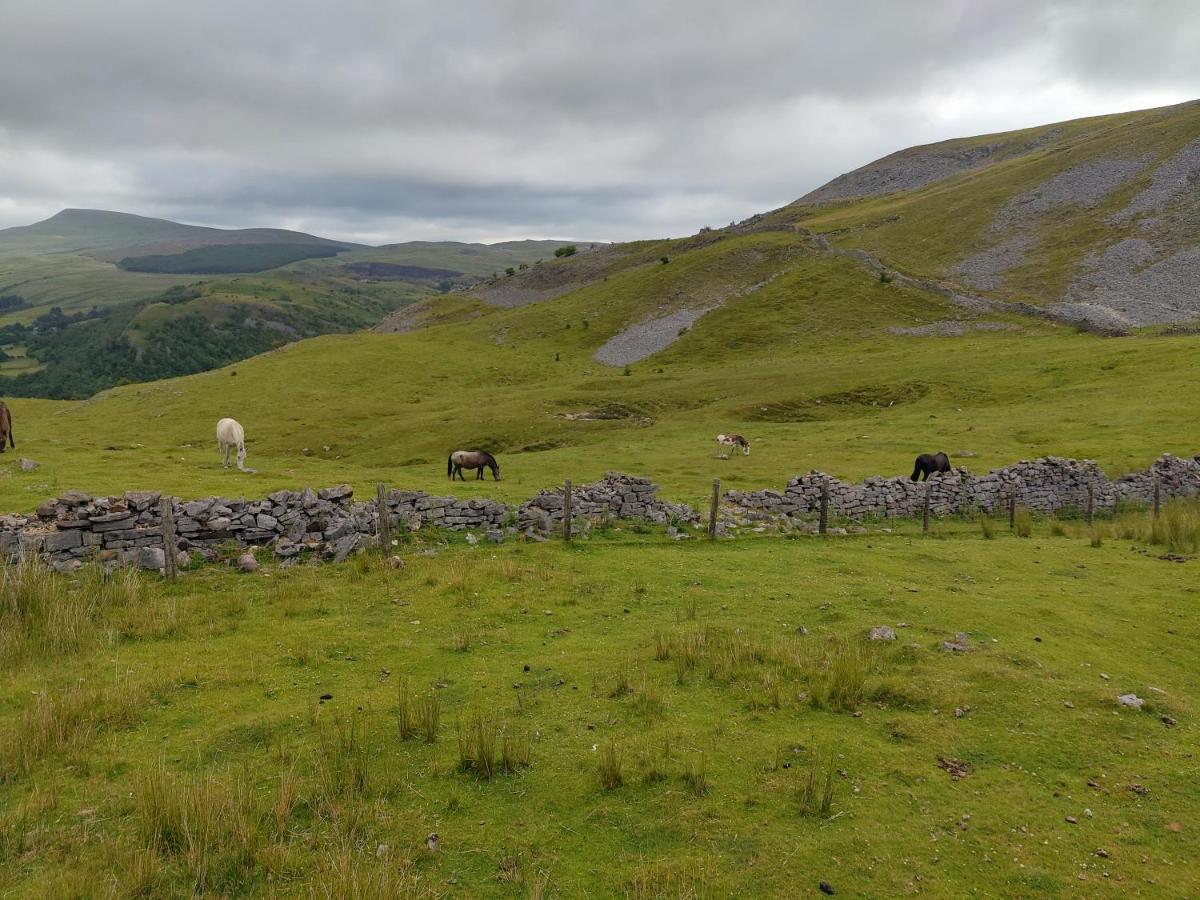 Pentre Cottage Near Craig Y Nos Pen-y-cae  エクステリア 写真